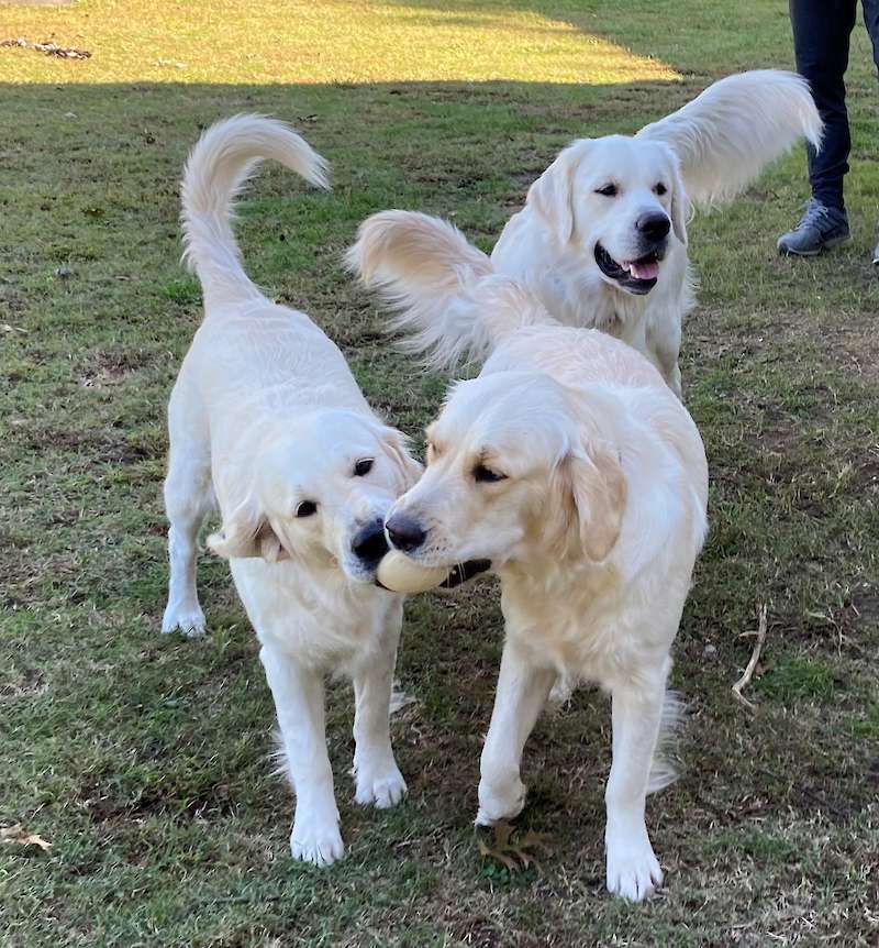 Playtime