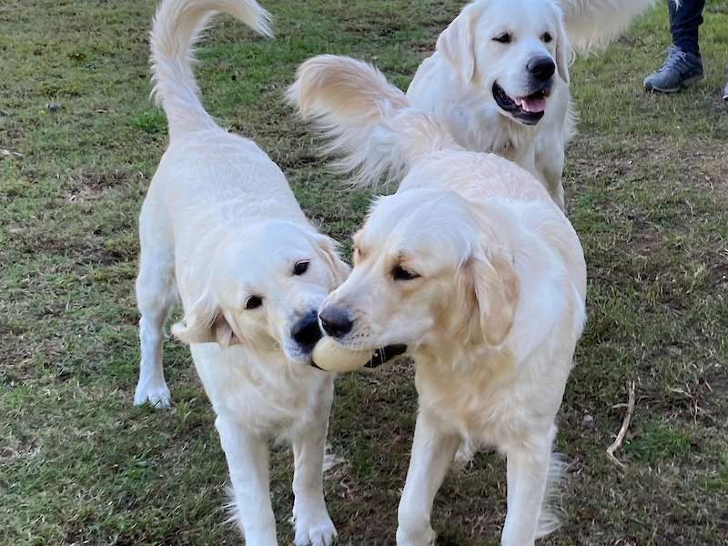 Playtime